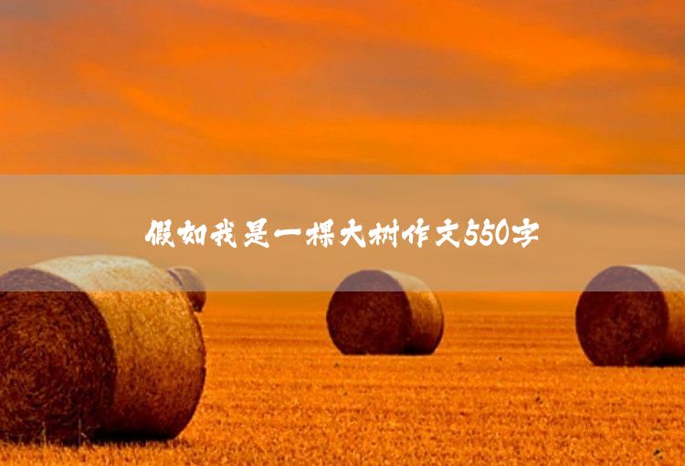 生活中的小镜头文章550字